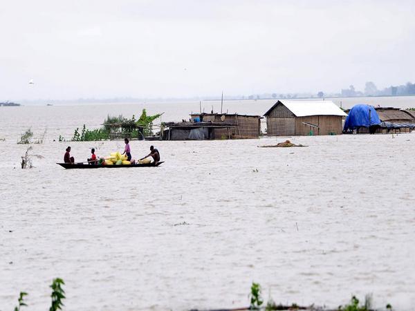 असम में बाढ़ से 84 की मौत, काजीरंगा नेशनल पार्क के जानवर प्रभावित