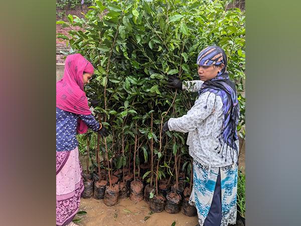 आदानी ग्रुप इंदौर के हरित अभियान के लिए 11 लाख पौधे प्रदान करेगा