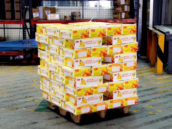 Bengaluru Airport ships record 822 tonnes of mangoes to 60 international destinations