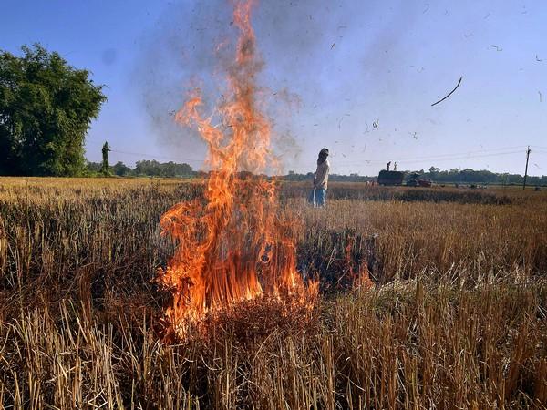 पंजाब और हरियाणा में पराली जलाने की निगरानी के लिए उड़न दस्ते तैनात