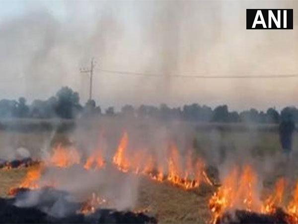 पंजाब और हरियाणा में पराली जलाने की घटनाएं और सरकार की प्रतिक्रिया