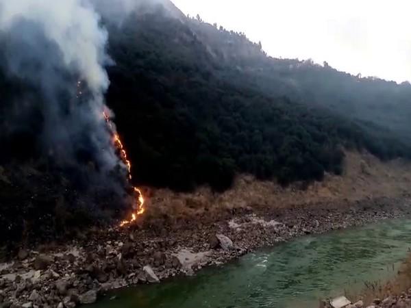 Forest fire in Balochistan's Pine Forest spreads to neighbouring areas