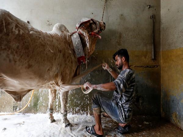 लक्की मरवत में व्यापारी की मौत पर विरोध प्रदर्शन और स्वास्थ्य चुनौतियाँ