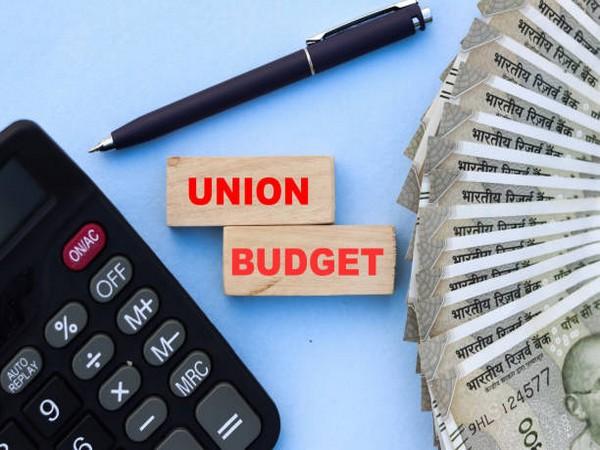 Union Budget 2025-26: Balancing Growth and Fiscal Prudence Amid Global Challenges